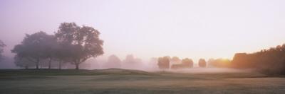 Foto Silhouette of Trees on a Foggy Landscape at Dawn, Panoramic Images - Laminas