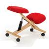 Foto Silla ergonomica gas (1/48/8kg)