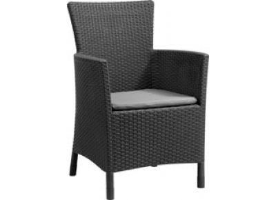 Foto Sillon ratan resina allibert