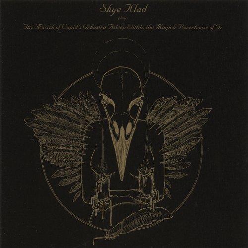Foto Skye Klad: Plays The Orkustra Asleep CD