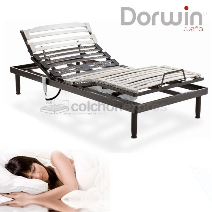 Foto SOMIER ARTICULADO DORWIN CALVIN