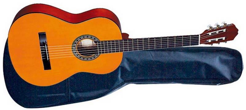 Foto Sonora JT-450 con Funda. Guitarra clasica