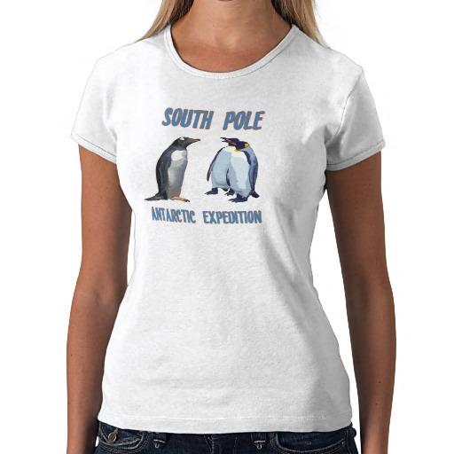 Foto South Pole Camisetas