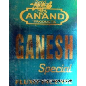 Foto Special Ganesh