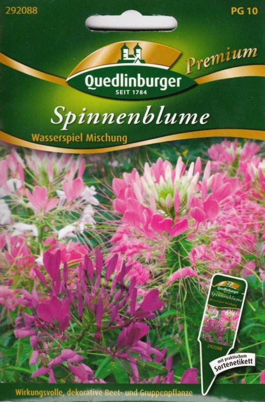 Foto Spinnenblume 'Wasserspiel Mischung' - Cleome hassleriana - Samen