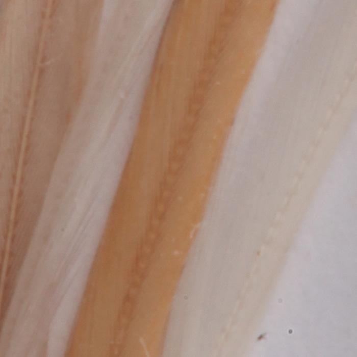 Foto Spirit River UV2 Whiting Hackle - Cginger Cream