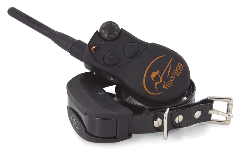 Foto Sport dog 1600