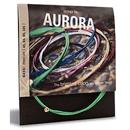 Foto Strings by Aurora BASS 4-string 45-105 - Clearcoat Silver, Medium