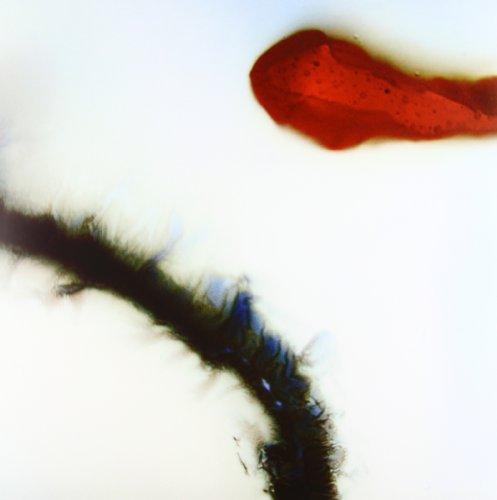 Foto Stubborn Heart [Vinilo]