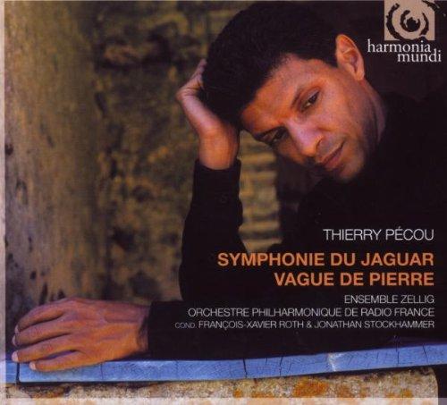 Foto Symphonie Du Jaguar. Vague De Pierre