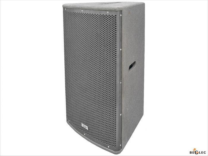 Foto SYNQ RS-15 Speaker 2 Way 600 W (8 Ohm)