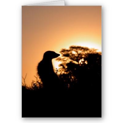 Foto Tarjeta 5 de KMP - puesta del sol del Flav de Flav