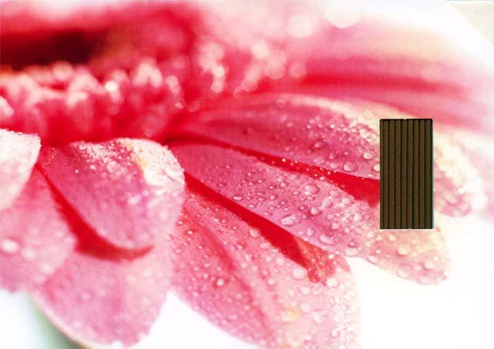 Foto Tarjeta rosa-Incienso-Les encens du monde - 10 uds