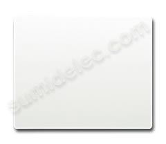 Foto Tecla Interruptor Conmutador Blanco 18705 Serie Iris Bjc