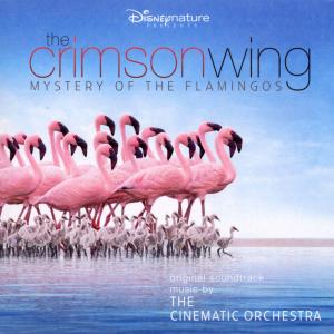 Foto The Cinematic Orchestra: The Crimson Wing-Mystery Of The Flamingos CD