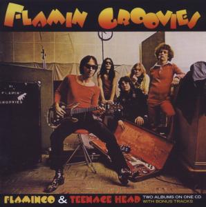 Foto The Flamin Groovies: Flamingo/Teenage Head (Remastert & Expanded) CD