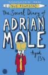 Foto The Secret Diary Of Adrian Mole Aged 13 3/4