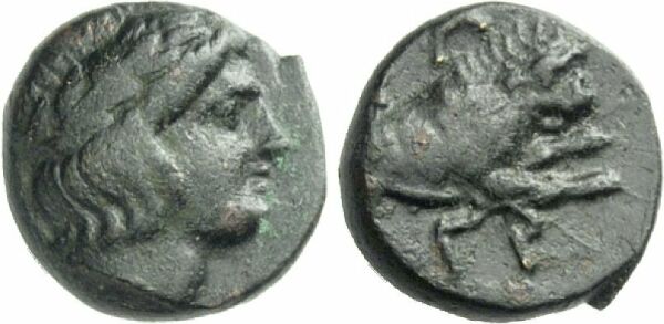 Foto Thrakien/Phagrai Bronze 400 350