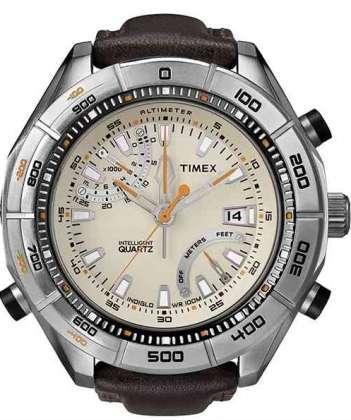 Foto Timex Gents IQ T2n728 Watch