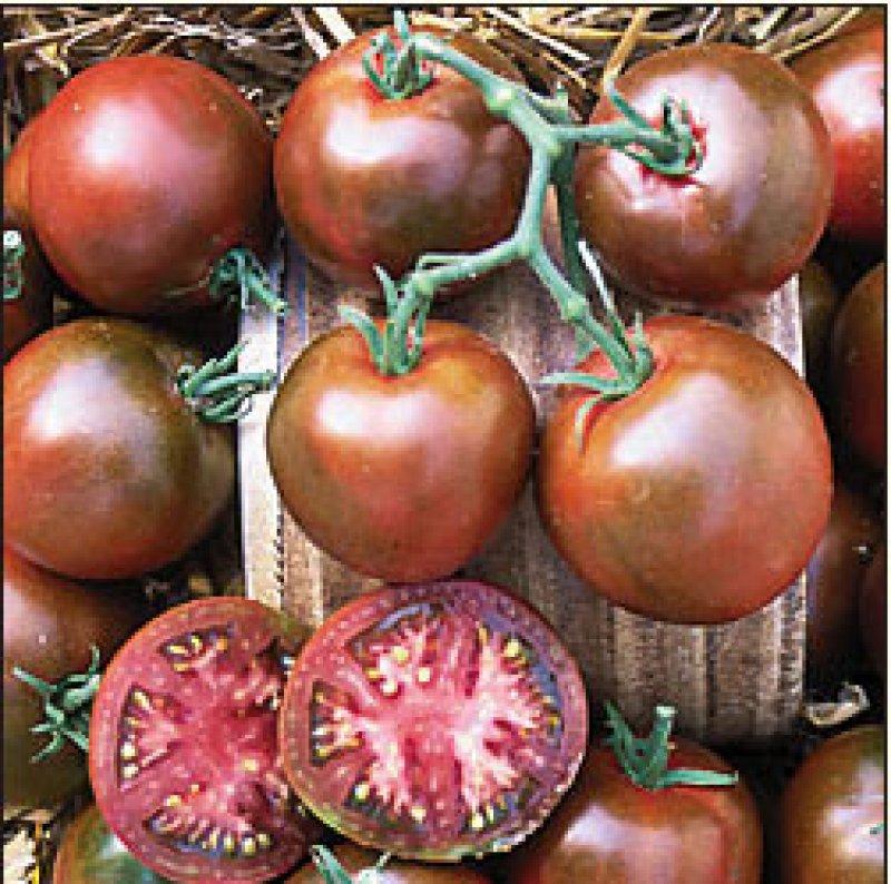 Foto Tomate 'NYAGOUS' - Lycopersicon esculentum - Samen
