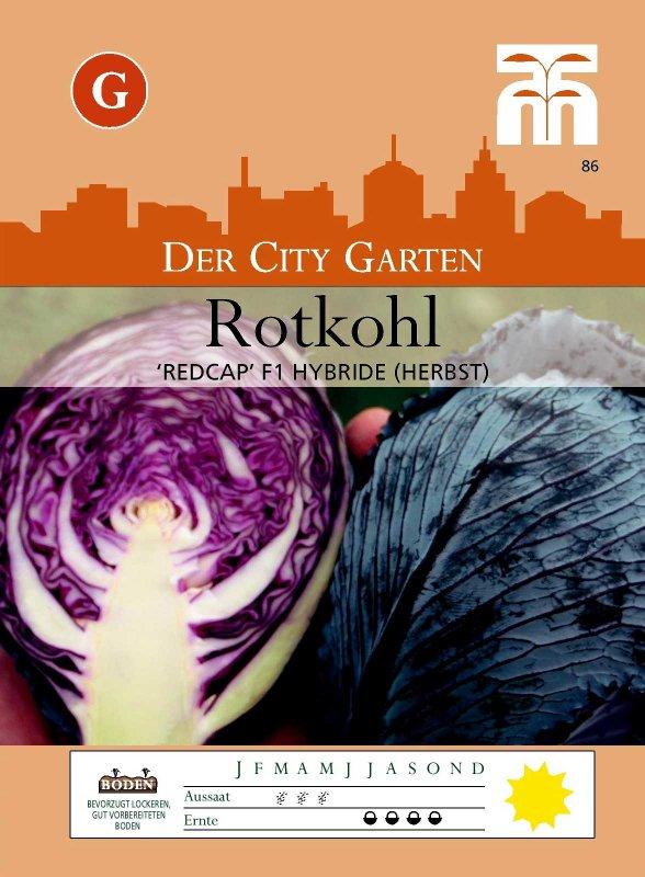 Foto Topf Rotkohl 'Redcap F1' - Brassica oleracea Capitata Group - Samen