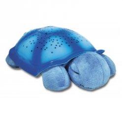Foto Tortuga planetario Azul