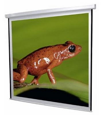 Foto Traulux Pantalla Mural Delta 180x180cm