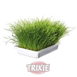 Foto Trixie Bandeja Bio Hierba 100 Gr