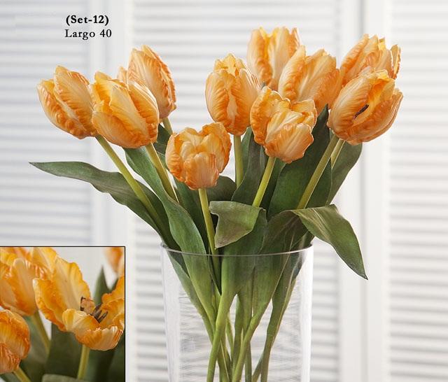 Foto tulipán soft amarillo set 12