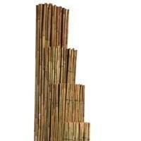 Foto Tutor bambu natural diámetro 120 mm 300 cm