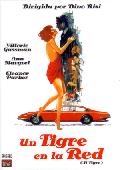 Foto UN TIGRE EN LA RED (DVD)