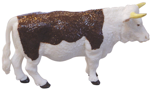Foto VACAS HEREFORD (12 UNIDADES)