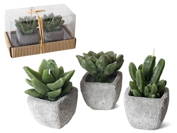 Foto Vela Cactus Con Maceta 2 Unidades Caja_16x10x8,5cm