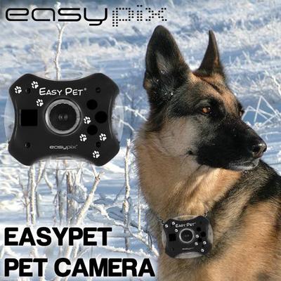 Foto Videocamara Easypix Easypet Camara Digital Fotografica Para Animales Perro Gato