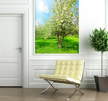 Foto Vinilo decorativo manzanos
