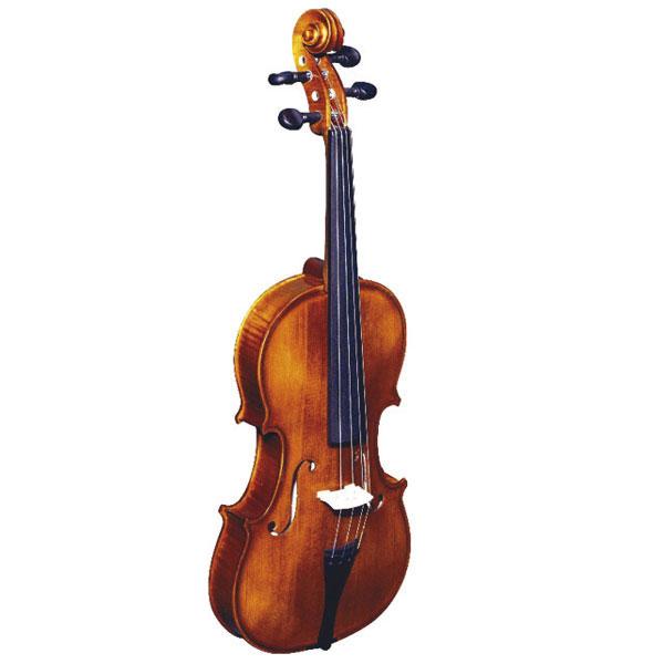 Foto Violín de concierto Strunal 175 WA 4/4
