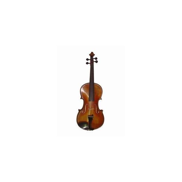 Foto Viola gliga vasile maestro i