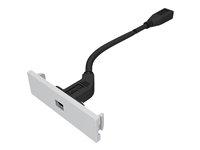 Foto Vision Techconnect Thunderbolt Module