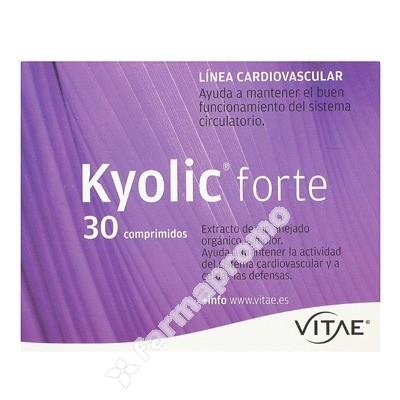 Foto vitae kyolic forte 30 comprimidos