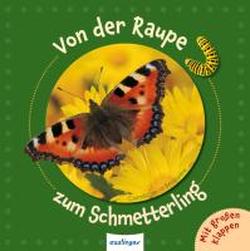 Foto Von der Raupe zum Schmetterling