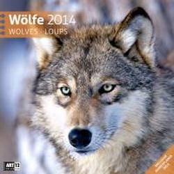 Foto Wölfe 2014 Art12 Collection