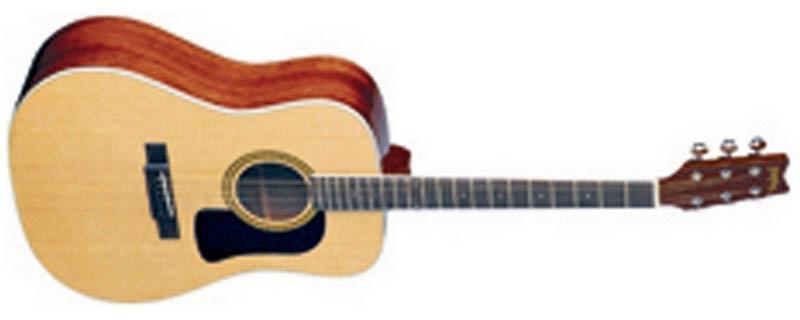 Foto Washburn D-10S N Natural. Guitarra acustica de 6 cuerdas