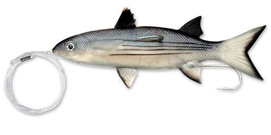 Foto Williamson Señuelo Live Split Tail Mullet 23cm