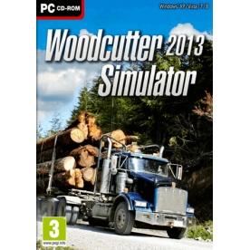 Foto Woodcutter Simulator 2013 PC