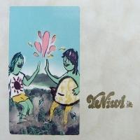 Foto Y NWIL - Y NIWL LP