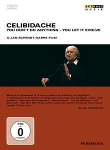 Foto You Dont Do Anything-You Let It Evolve DVD