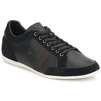 Foto Zapatillas Lacoste Alisos 8
