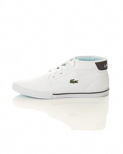 Foto Zapatillas Lacoste 'Ampthill'