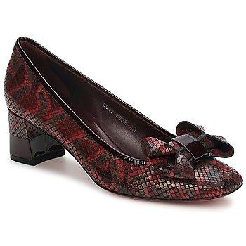 Foto Zapatos Mujer C.Doux Yves