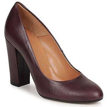 Foto Zapatos Mujer Eden Precin